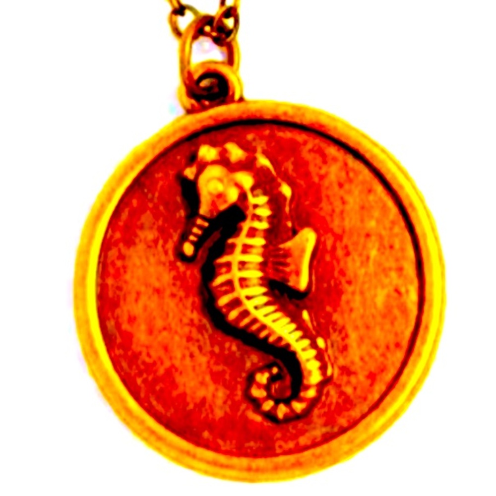 🧜🏻‍♀️🐚🧜  “SEAHORSE SOLO” BRASS NECKLACE WITH FREE EARRINGS ~ PAPARAZZI❗️ 🧜🏻‍♀️🐚🧜